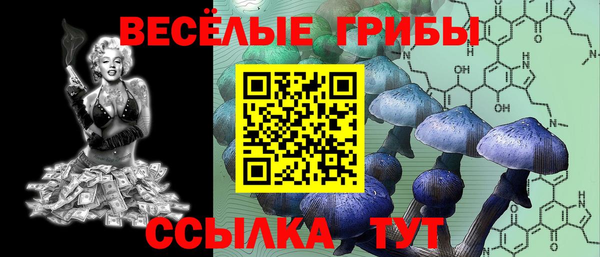 Галлюциногенные грибы мицелий Белебей