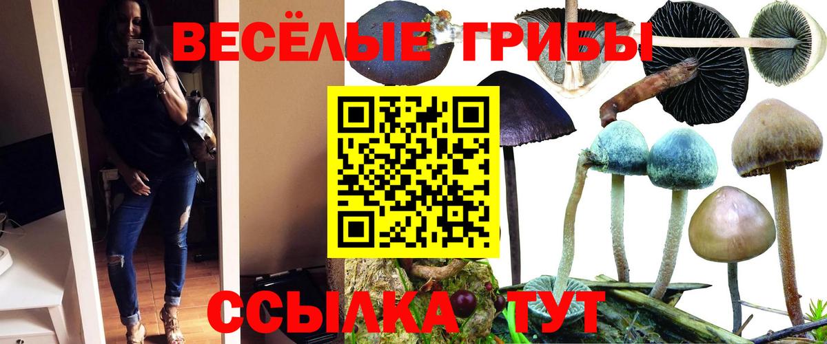 что такое   Вход с VPN  Белебей  Галлюциногенные грибы MAGIC MUSHROOMS 